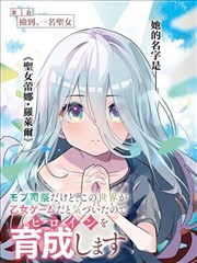 北国之恋昭和年代经典日剧封面示意图
